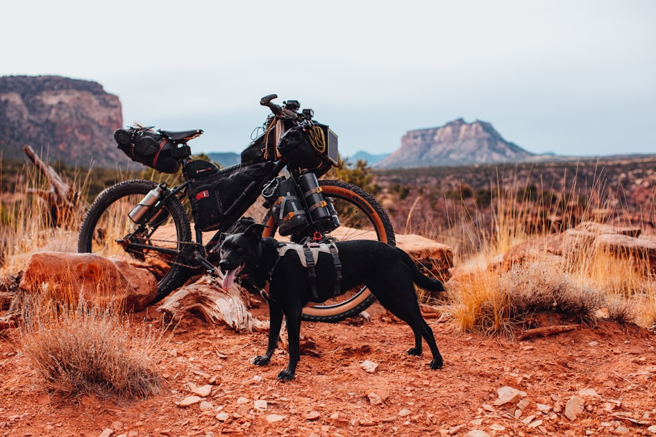 Connecting with Nature: A Guide